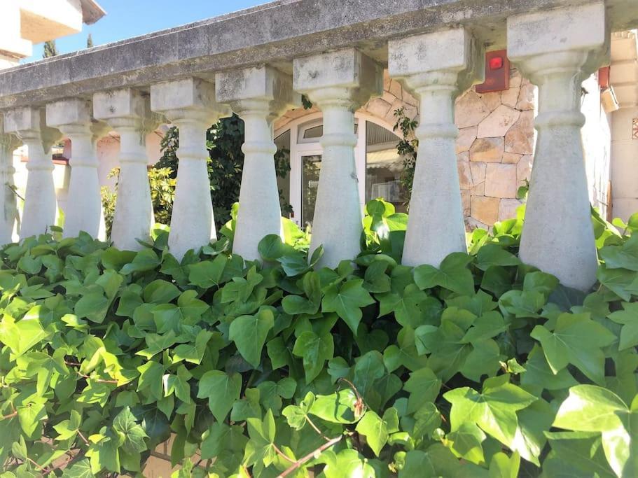 Family House - La Mora - Hébergement de vacances *